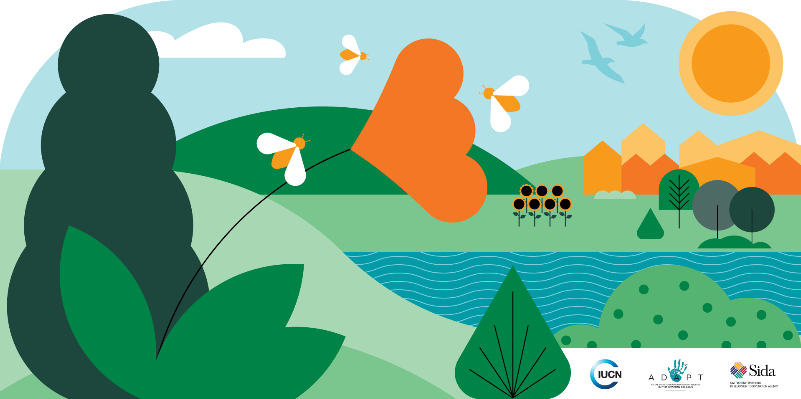 IUCN_ECARO's tweet photo. Attention #NbS lovers!
The second issue of our #ADAPT Newsletter – #NaturebasedSolutions in the #WesternBalkans is out today! 📣
Access the Newsletter directly via browser 🌼 https://t.co/tKYZhscy4O
Sign up for our mailing list 🌼https://t.co/CvI5O60Ed8 https://t.co/h3acd0Cdaa