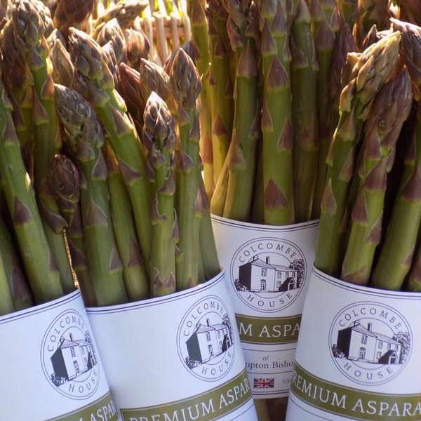 🌱#Fresh #Organic #Asparagus for sale! Come pick your own loose #WonkyVeg selection or graded bunches from The Cider Warehouse, Hampton Bishop HR14FL Tues - Friday 9am-5pm 01432 873100. #farm #Local #HerefordNews #Hereford #eatlocal #HealthyFood
