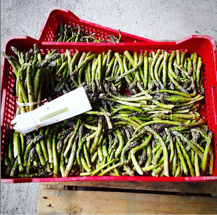 Colcombe House • Ciders for the more discerning • tweet media