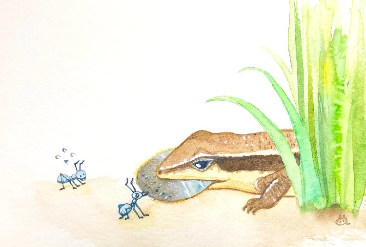 食事中のトカゲを発見 よく見ると あきらめない蟻がいました みなみあすかのイラスト