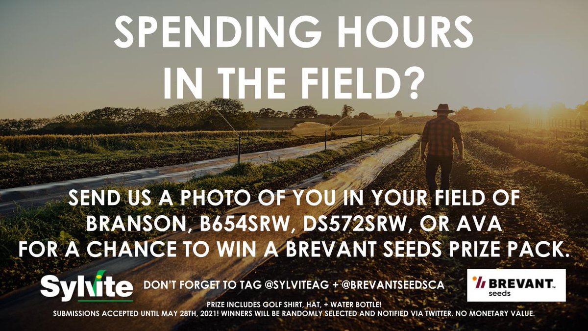 Sylvite (@sylviteag) on Twitter photo Are you spending hours in the fields? Send us a photo of you in your field of Branson, B654SRW, DS572SRW, OR Ava for a chance to WIN a <a href="/BrevantSeedsCA/">Brevant seeds Canada</a> prize pack. See image for details! Don't forget to tag us! #contest #sylvite #brevantseeds #ontag #plant21 #agriculture Are you spending hours in the fields? Send us a photo of you in your field of Branson, B654SRW, DS572SRW, OR Ava for a chance to WIN a <a href="/BrevantSeedsCA/">Brevant seeds Canada</a> prize pack. See image for details! Don't forget to tag us! #contest #sylvite #brevantseeds #ontag #plant21 #agriculture