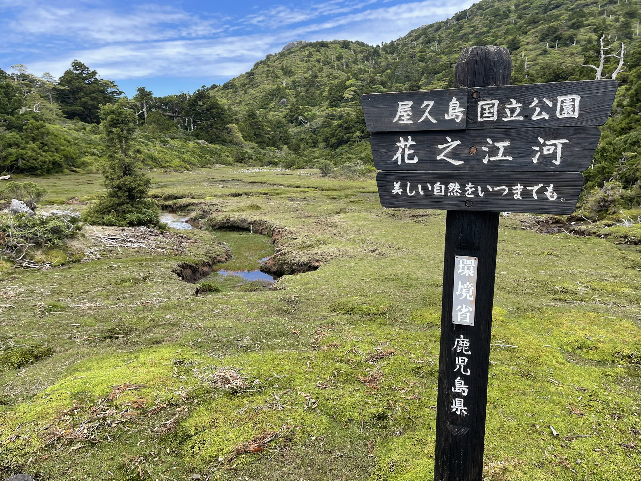 Twitter এ Saunter Magazine Kilty Books Ananda Chillage 9月発売サウンターマガジン第4号制作真っ最中ですが 今週はその後に出すノンフィクション書籍 幻の屋久島古謡まつばんだを探して 仮 の取材強化週間 梅雨の最中のトレッキングと 80代の生き証人