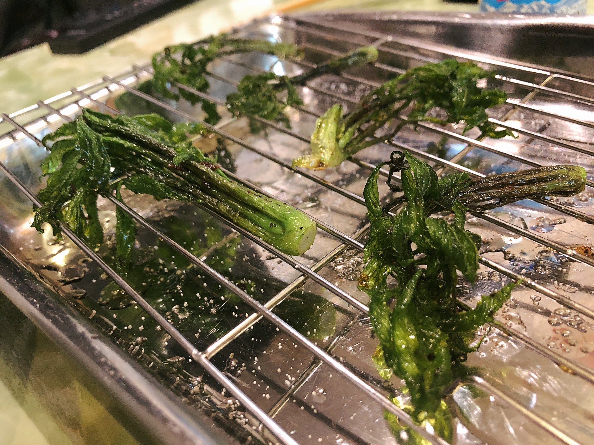 魔女っこれい コシアブラ こごみ 醤油漬けわらび 塩漬け山椒の葉 アケビの新芽 黒胡麻を混ぜたおこわ コシアブラの素揚げ T Co Llipi0aodr Twitter