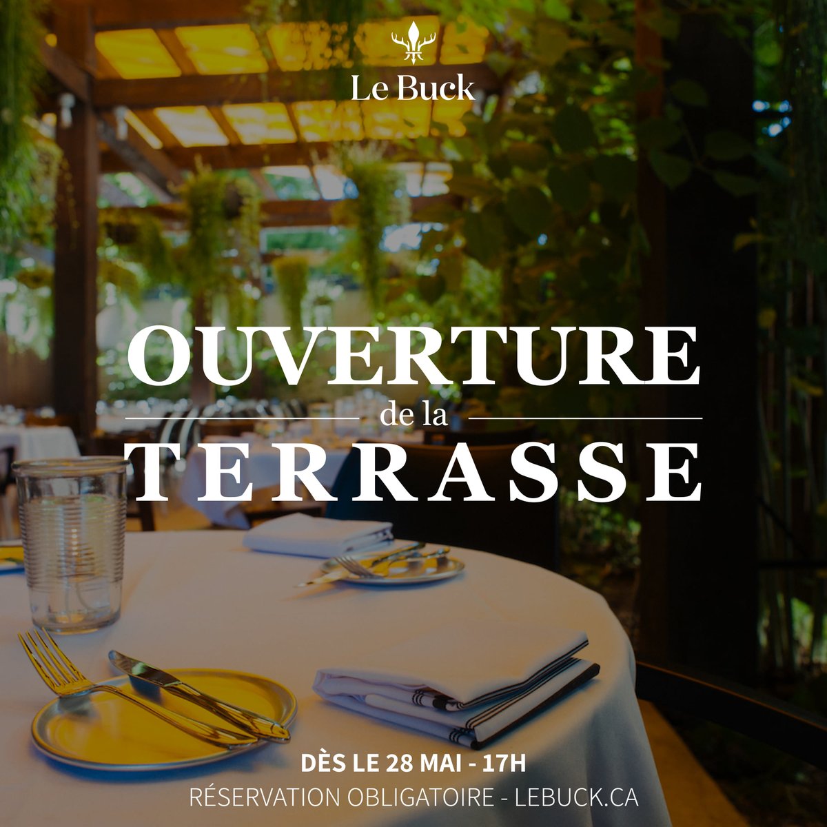 La plus belle terrasse en ville 😍 Venez relaxer et savourer le début de l'été en bonne compagnie. Menus et réservations : lebuck.ca #troisrivieres #mauricie