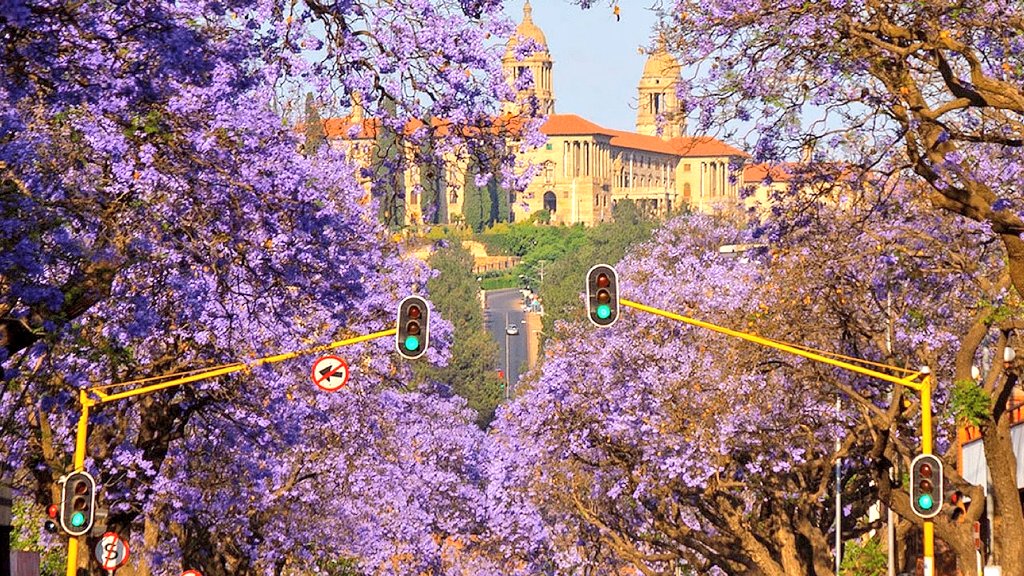 MfokaMqulusi's tweet photo. Guess the city?🤔 https://t.co/z3etPbSVaq
