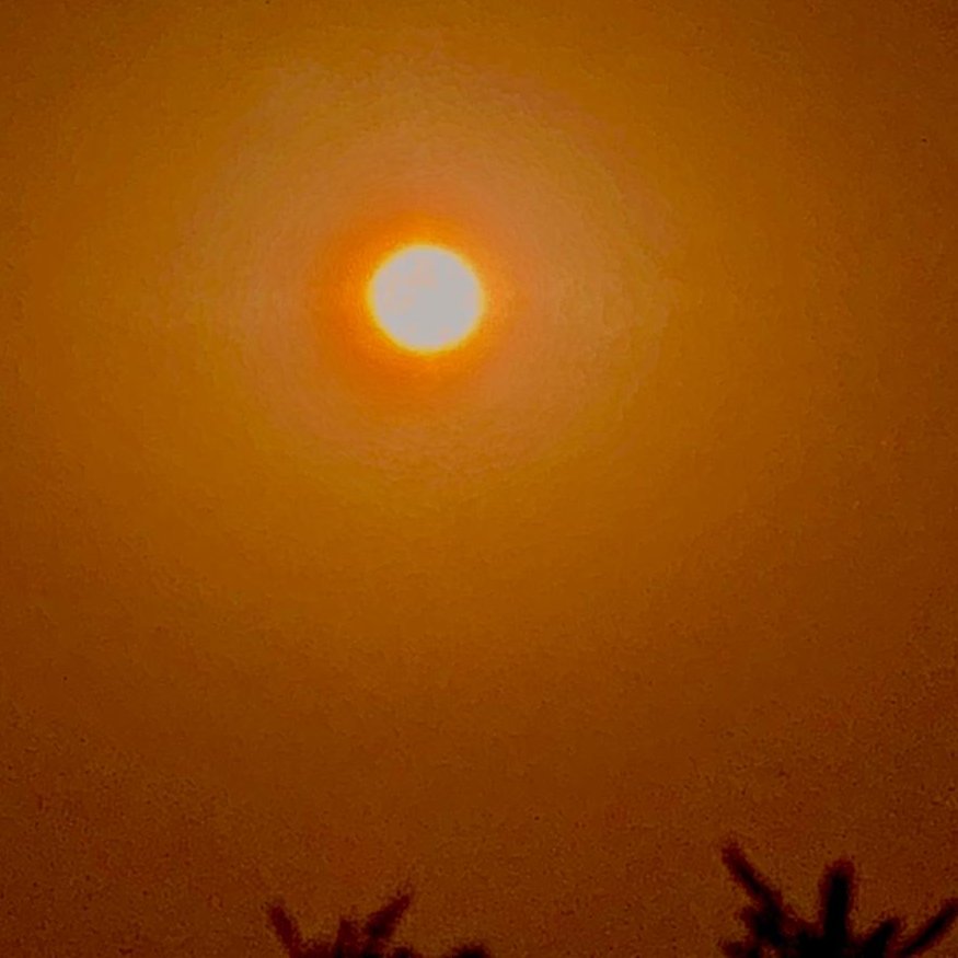 BaaniBhatnagar's tweet photo. Rosy glow of tonight's sky #supermoon from my terrace #BloodMoon #bloodmoon2021 #LunarEclipse #SuperFlowerBloodMoon https://t.co/1UseBbTdDH