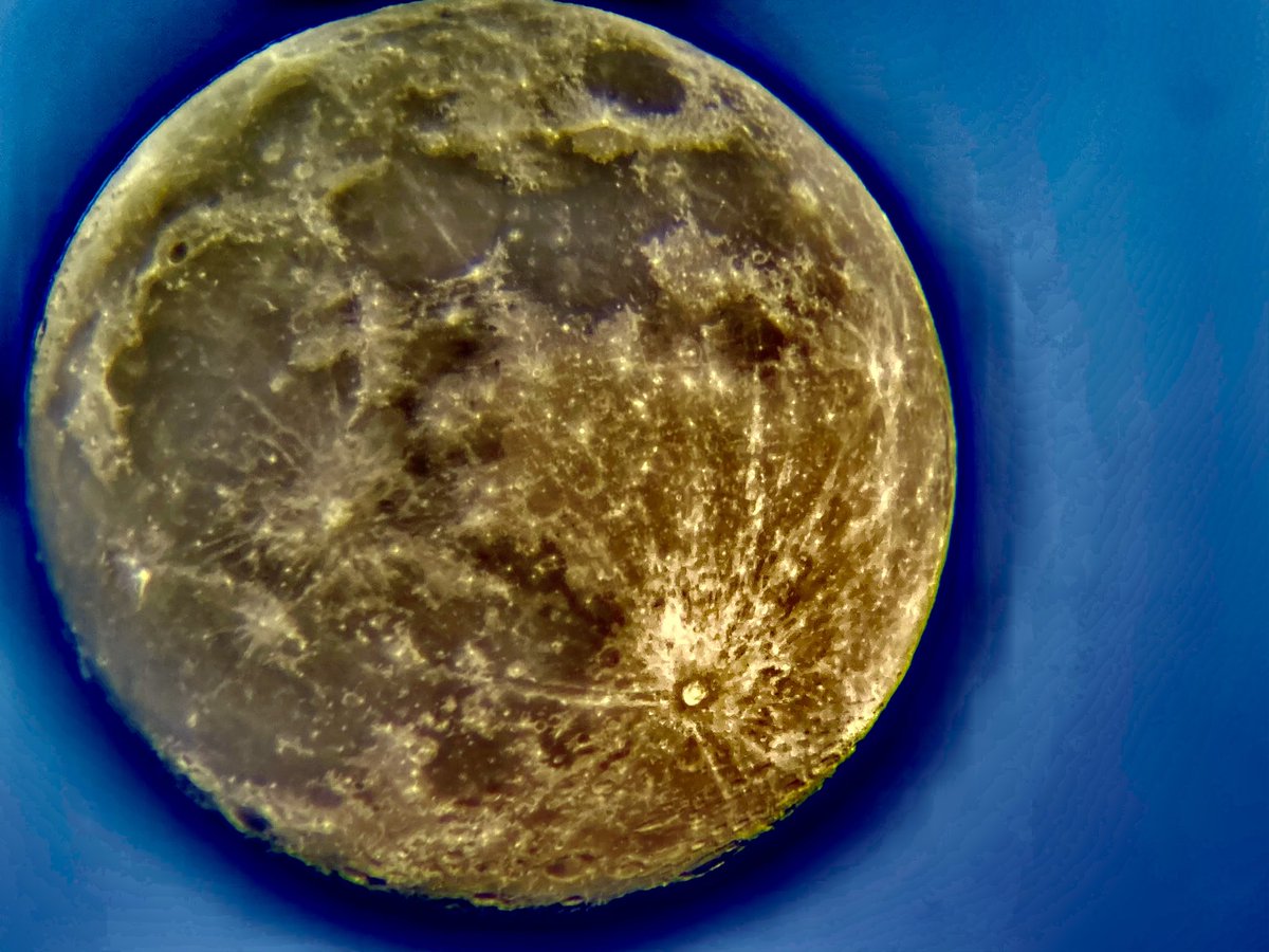 Mr Breitbach tweet media