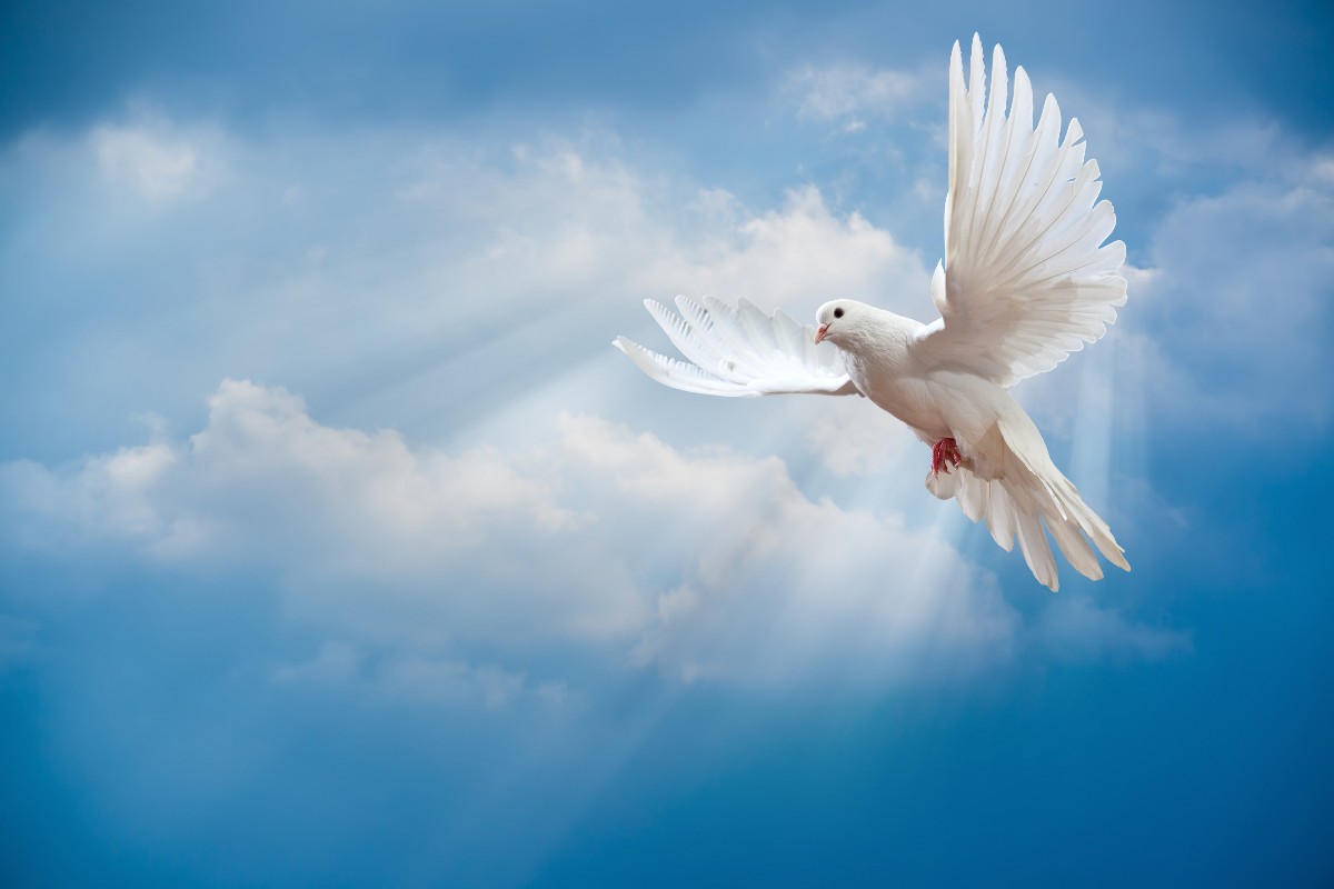whcomaha1's tweet photo. For Memorial Day weekend, during our Sunday morning service, we would like to commemorate those individuals that have died since 1/2020.

Join us on 5/30 for a special Memorial Sunday. A time for our congregation to grieve together and also to celebrate life and resurrection. https://t.co/IKGhBUj2WC