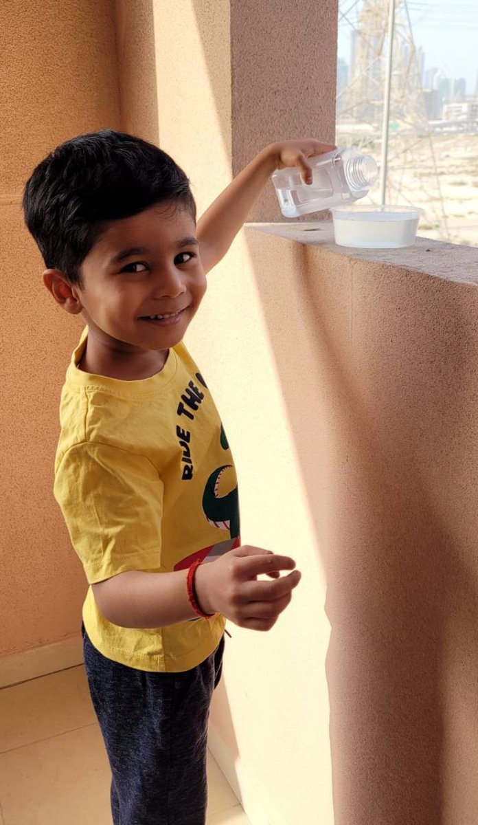J_shesh's tweet photo. Anay filling up some water for the birds, ensuring that they don't go thirsty #KG1BSplendidSaturn #JewelsofKindness @NMSKindergarten @gemsnms_alkhail @MichelleVerghe1 @Susanna_Porob https://t.co/3YpSLqxo3U