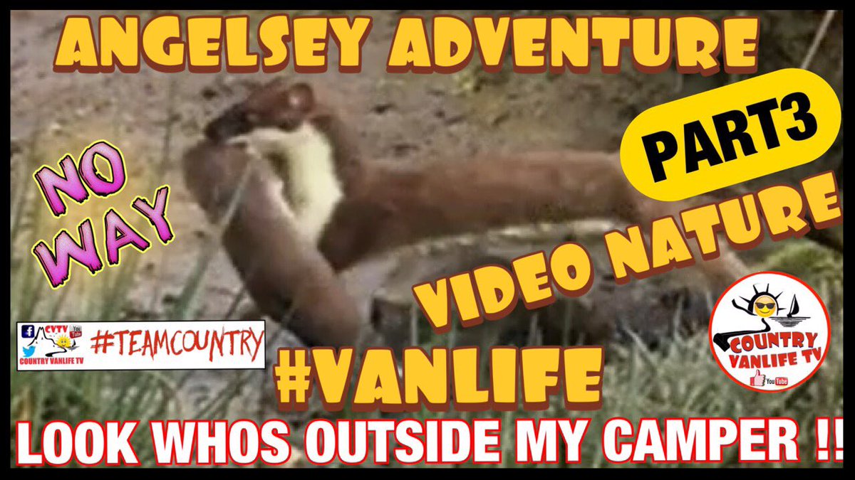 CountryvanlifeX's tweet photo. Pt3 OffGrid Isle of Anglesey Wild Vancamps CRASH Drone ! NO RV’s Moaners ? HERE ▶️ https://t.co/Z57w8izZ2x via @YouTube @CountryVanlife #vanlife #offgrid #weaslefilm #naturevids #surfbiking #ynysmon #wales #travel #beach #birdphotography #DJIMini2 #photography #PeaceOfMind https://t.co/PhLFjYPcYx