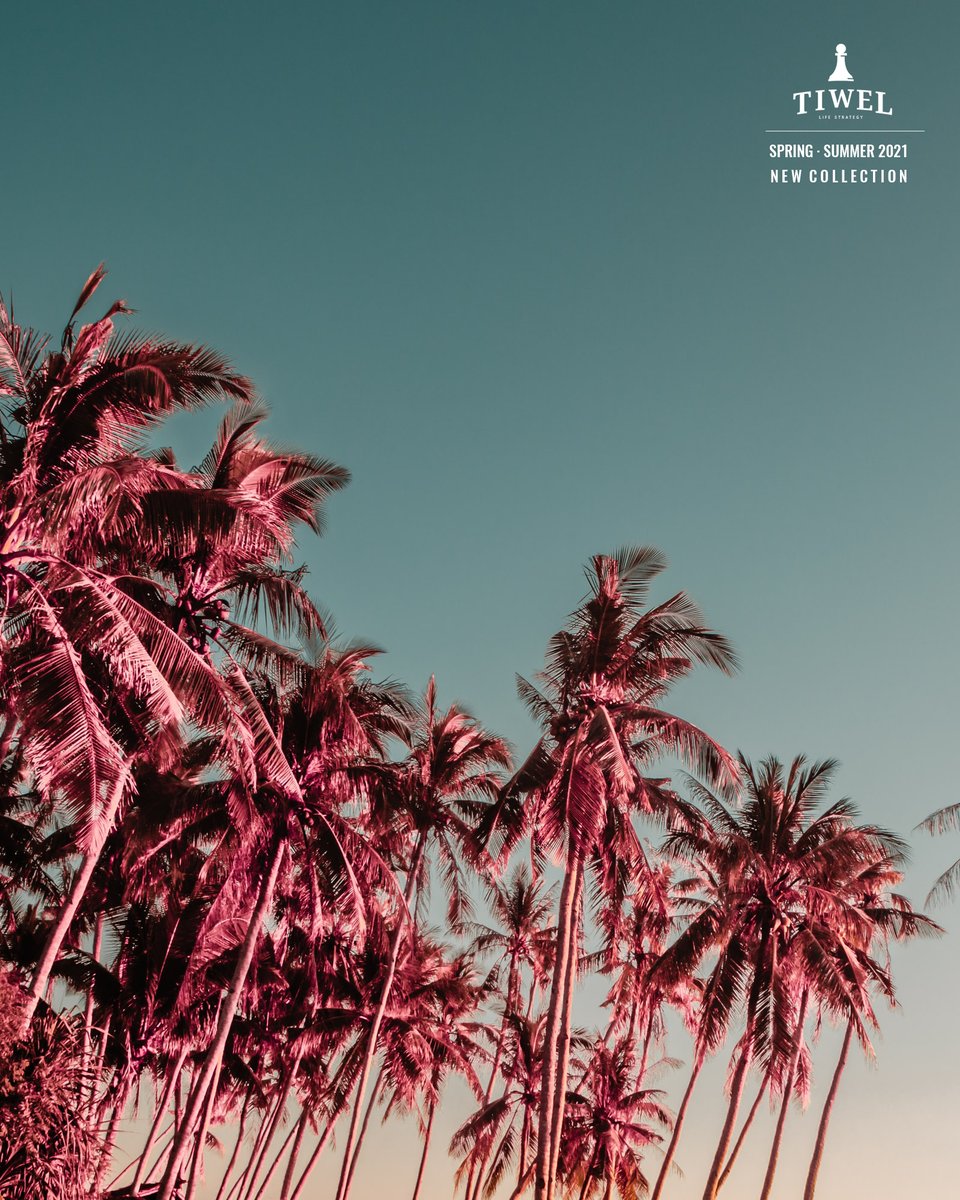 Tiwel_Spain's tweet photo. 🌴 Summer is just around the corner. Sunset through the palms > https://t.co/37Cl1LolJd

#palmtrees #atardecer #palmeras #coconuttrees #tropicalvibes #palms #pinkpalm #summerholic #wanderlust #paradise https://t.co/VFIZFgpD20