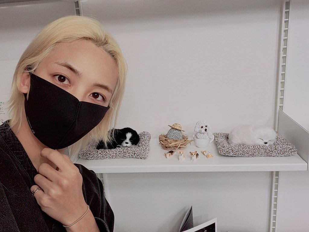 SVT_Fancafe's tweet photo. [#JEONGHAN🌟Weverse]
210527 -00:56 KST-

➸ I came to meet Dodol, Carats good night ㅎㅎ

#정한 #SEVENTEEN #세븐틴 @pledis_17 https://t.co/8DdmZOzTar