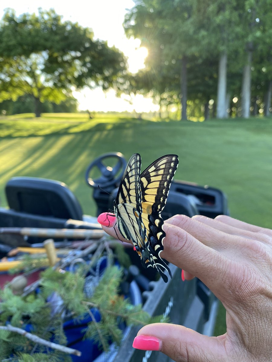 It’s always nice when you can make new friends at work.