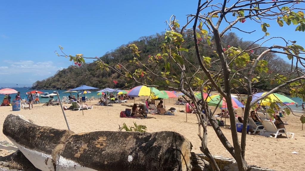 tabogapanama's tweet photo. #MiercolesDeGanarSeguidores haciendo un poco de redes ya que entregue todos mis trabajos. 
#SiguemeYTeSigoDeVuelta #SiguemeYTeSigoCumplo 
#panama
#taboga
#tabogapanama
#visitpanama
#panamabeyond
#visittaboga
#vamospataboga
#tabogatours
#tabogaparadise
#tabogamia
#tabogaisland https://t.co/fNkWLadrL2