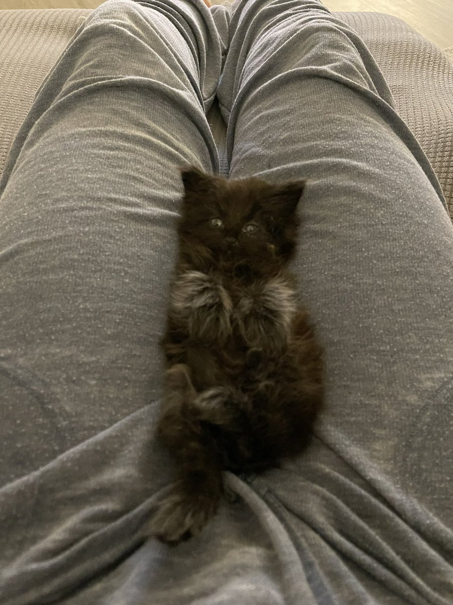 Devon key tweet media