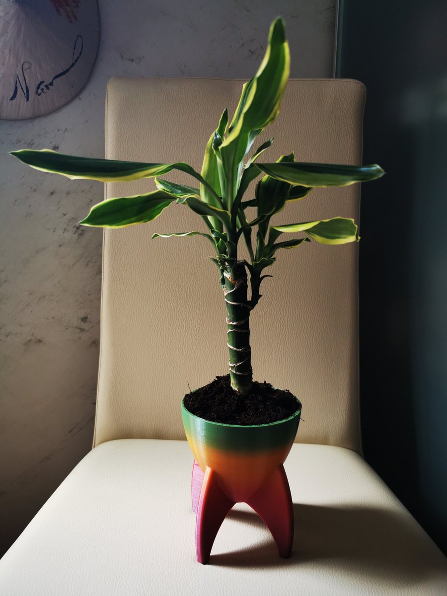 Rantamplan79's tweet photo. Nueva planta, para la nueva maceta hecha con la impresora 3D...
#Miercoles
#Impresion3D
#Plantas
#MacetasChulas https://t.co/54i1CqYp0r