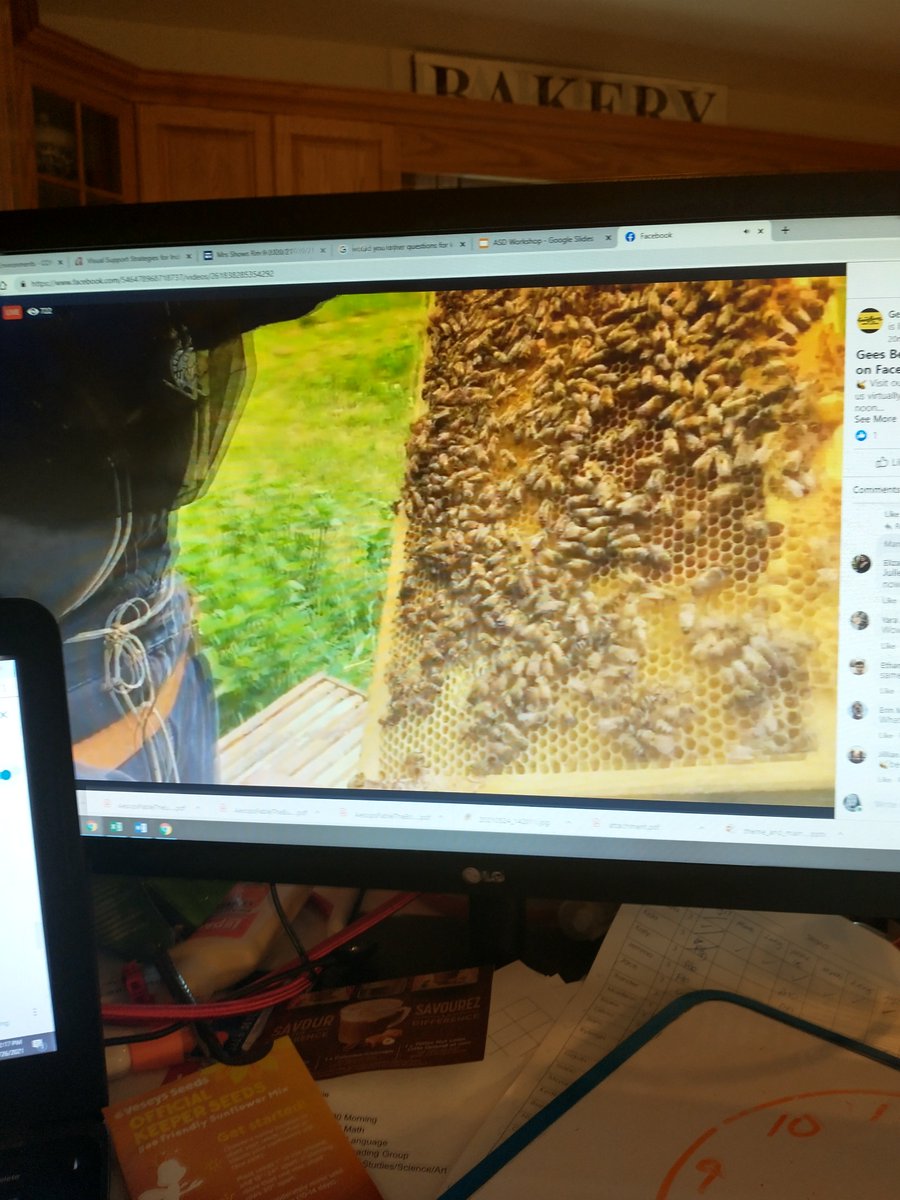 Thanks <a href="/GeesBeesHoney/">Gees Bees Honey Company</a>  for taking us on a virtual field trip to your honey farm. We loved learning about bee's life cycle and how important they are to helping plants grow!
<a href="/LeslieFrostPS/">Leslie Frost P.S.</a>