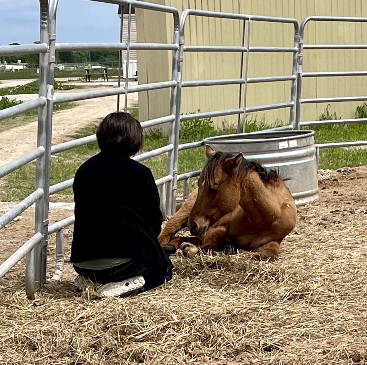 Another beautiful session with our new baby horse, Peppy!