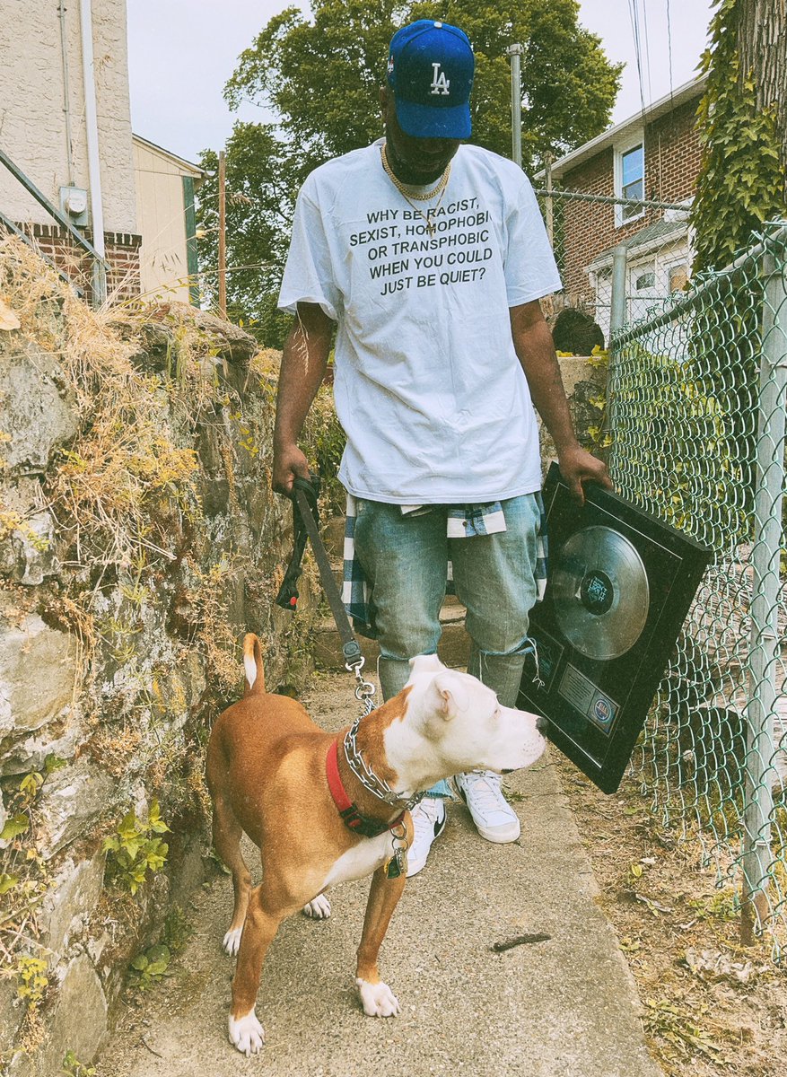 from Pokémon Platinum to Platinum Plaques..