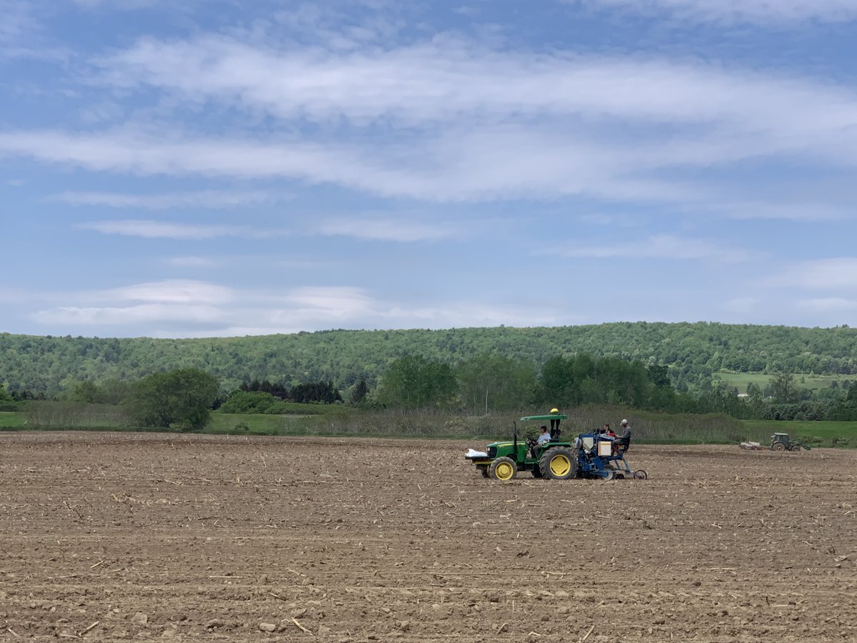 jmkolkman's tweet photo. Perfect day yesterday to plant our GLS trials along the Susquehanna river valley in Bainbridge, NY. Shout-out to @KemmerenPete! #rivervalleycorn #grayleafspot #TheCornInCornell @CornellCALS. https://t.co/RNavtjAMV8