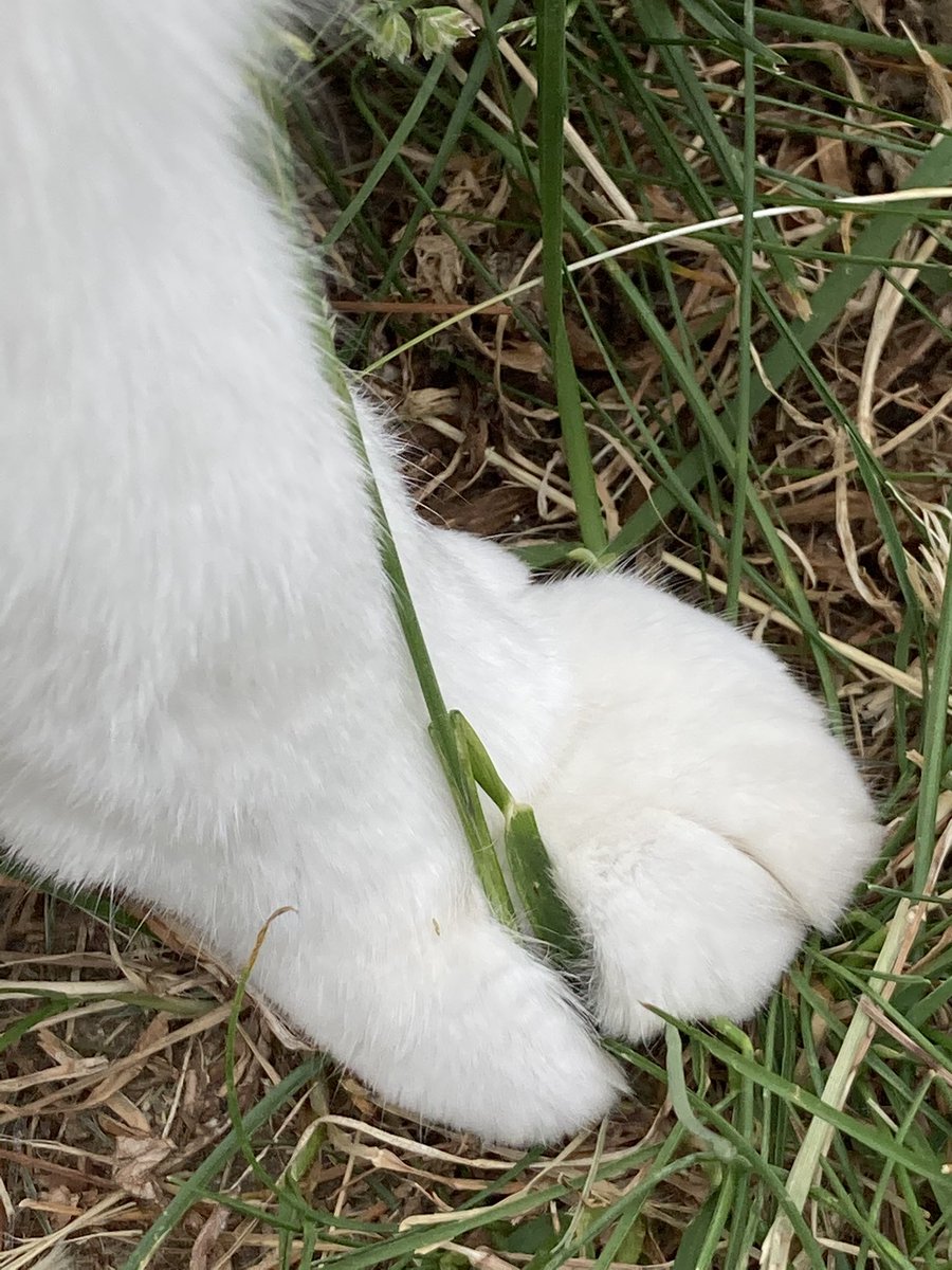 she's so lucky, she's a star 💫