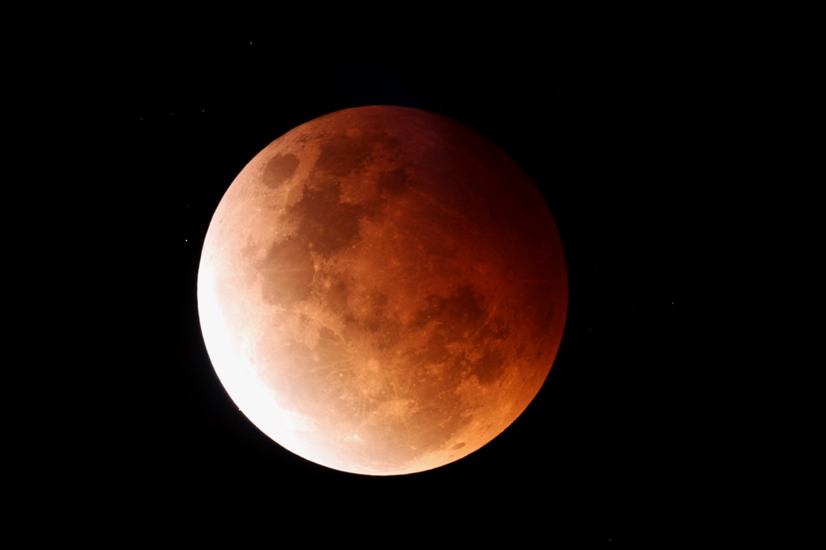 reactordrone's tweet image. Super duper blood flower moon etc lunar eclipse.