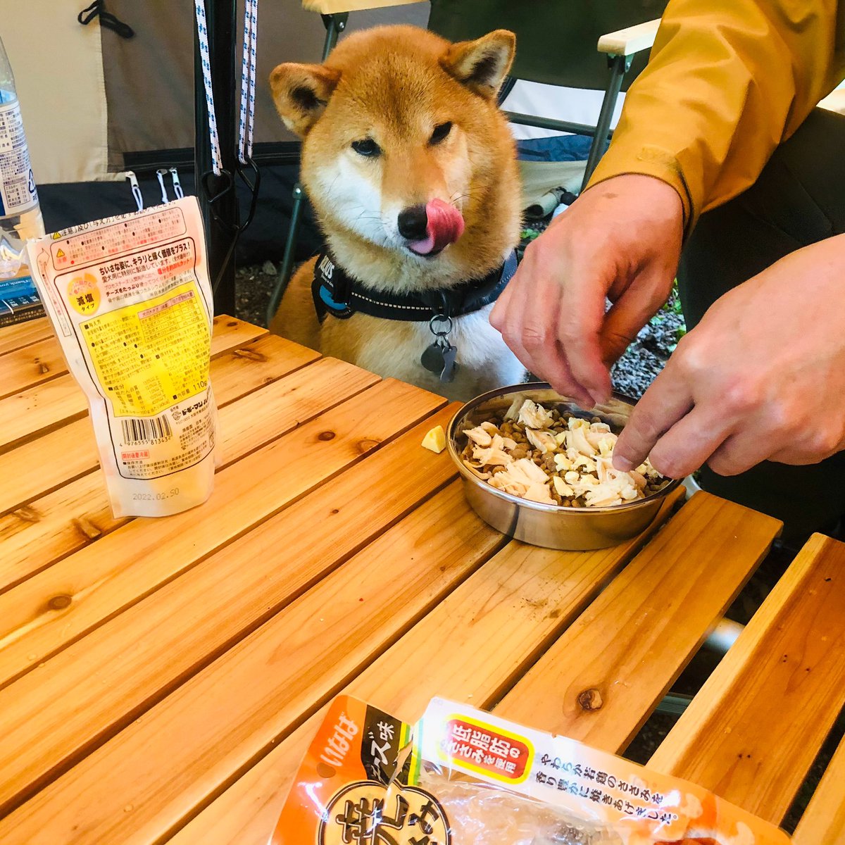 犬用チーズ 犬用チーズ