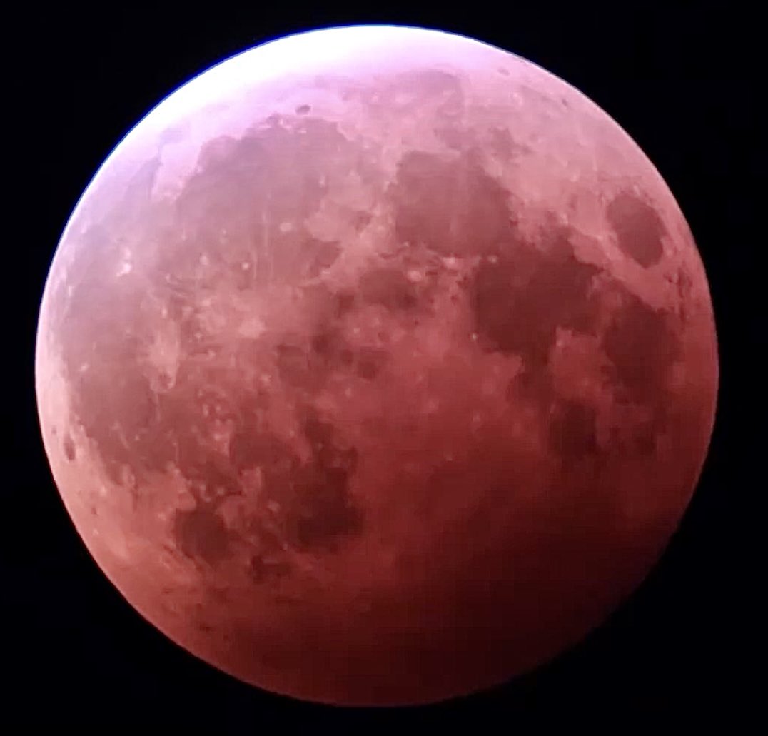 jeanquan's tweet photo. Beautiful #FlowerMoon or SuperBloodMoon during total #eclipse tonight thanks to volunteer #astronomers at the #ChabotSpaceandScienceCenter. You can watch it wane #live until 5:52am at https://t.co/cRWX0JfFnB or see videos
#LunarEclipse2021
#weloveoakland https://t.co/VG3g4JLeCP