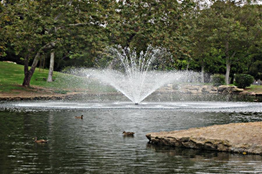 TechAditi's tweet image. Create a healthy body of water for your fish &amp;amp; water plants through surface aeration with our Reflection #fountain pattern. The Reflection is a dazzling, full circle, two-tiered #pattern with multiple-stream center formation.⛲️🏞️

Contact us to know more: bit.ly/360WkHq