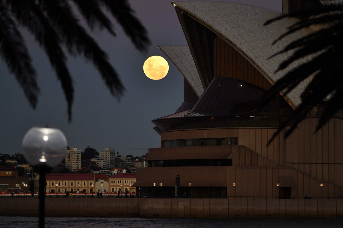 trtworld's tweet photo. In pictures: "Super Flower Blood Moon", 2021's only total lunar eclipse, observed in western North America, far down South America, Australia, New Zealand and parts of Southeast Asia https://t.co/PPo7VZQbst