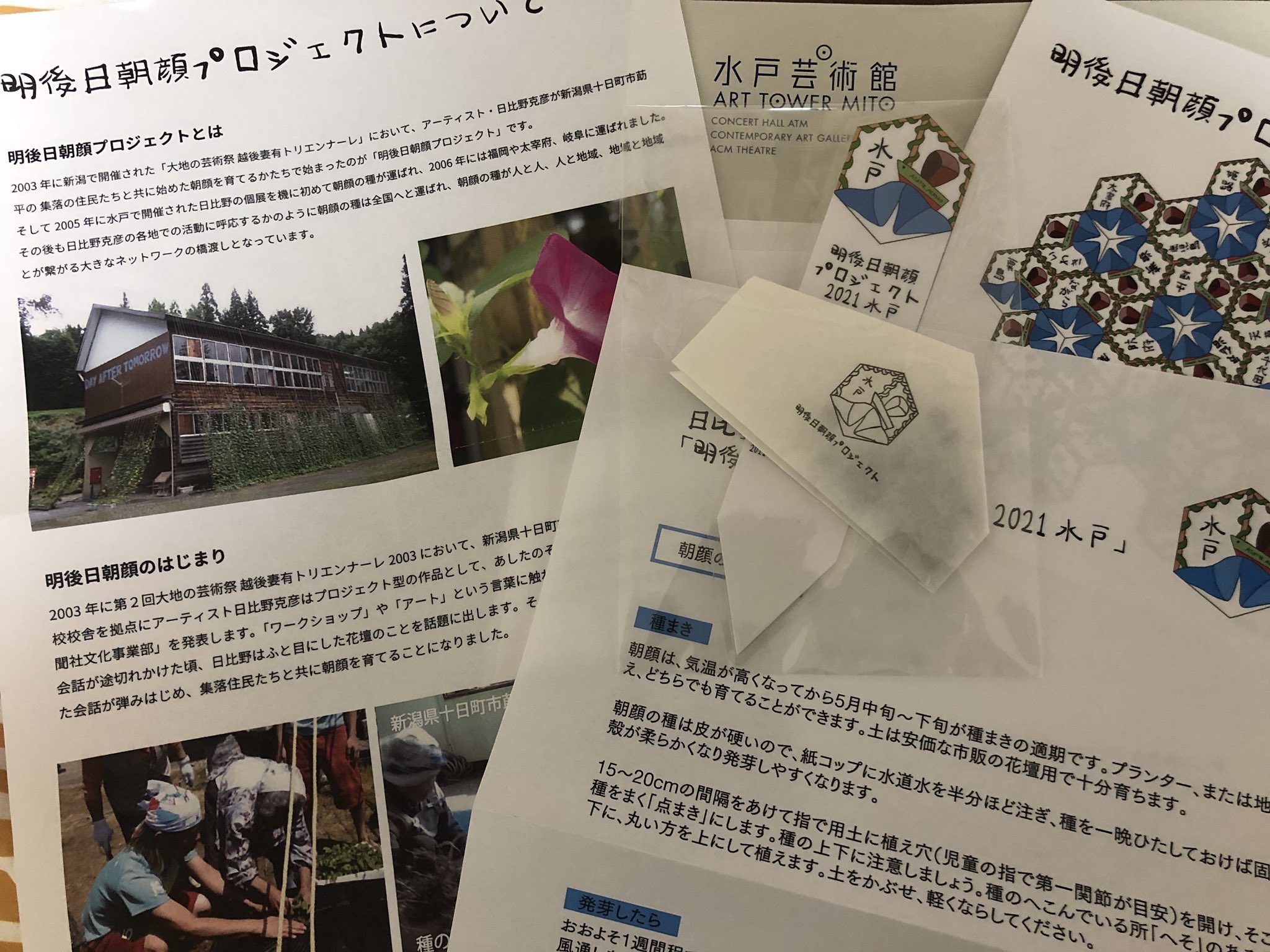 慧喜 榎俊幸 画塾生展 8 27 8 31 ドラードギャラリー 水戸芸術館現代美術センター様から 送って頂きました Mitogei Gallery 日比野克彦 明後日朝顔プロジェクト21水戸 の 明後日朝顔 の種です 育ってくれるといいな 日比野克彦 明後日