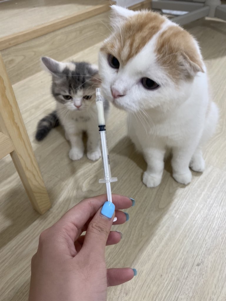 จะกินแทนน้องหรอ!