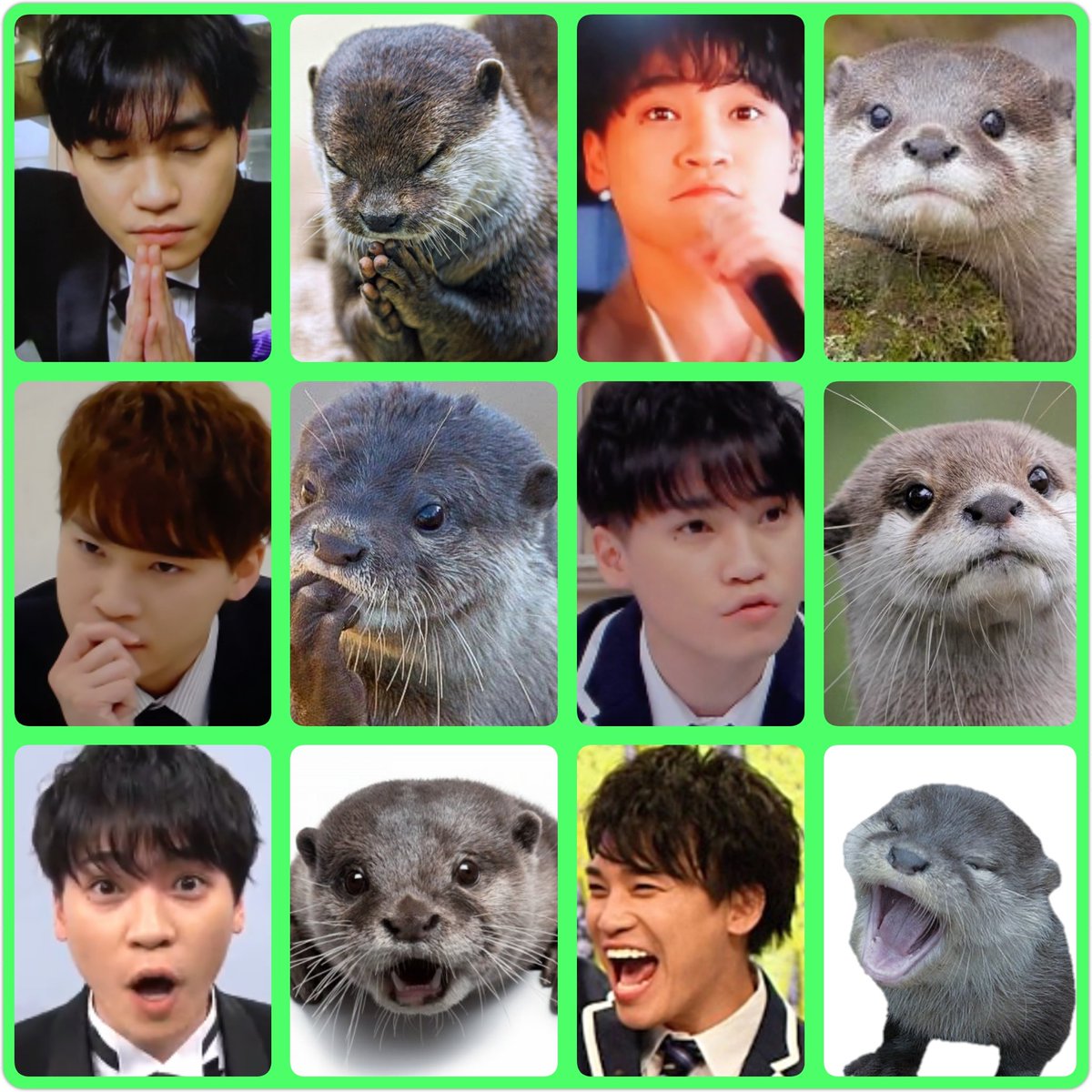 カワウソ 可愛い嘘のカワウソ フェイスラバーキーホルダー | 商品紹介 | 株式