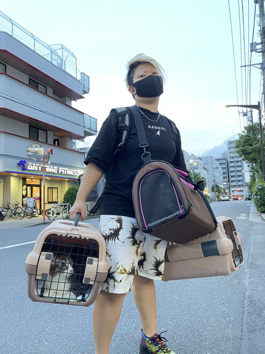 TheIconWolf tweet picture