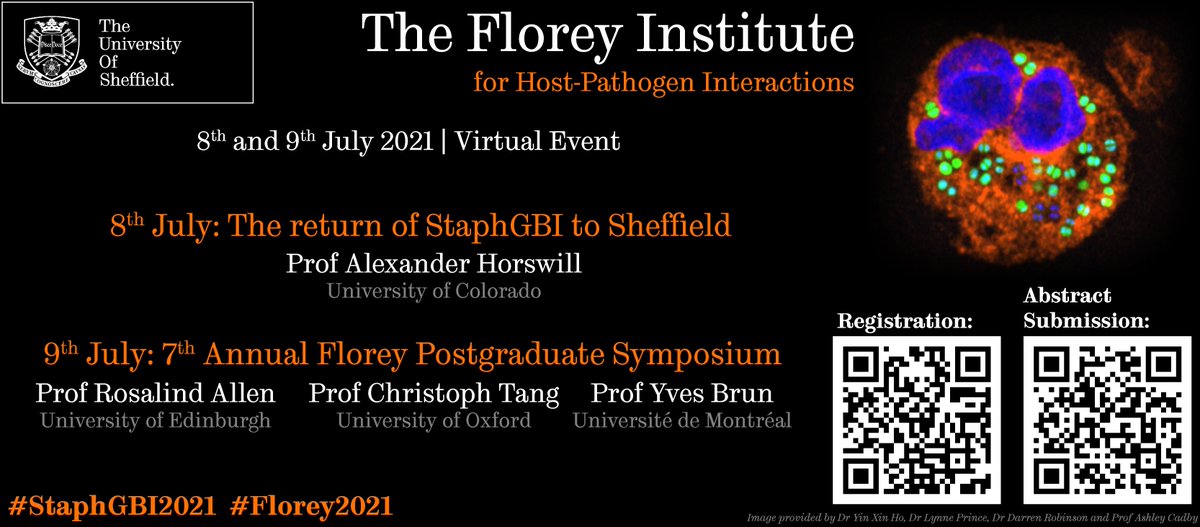 FloreyInstitute's tweet photo. Hey you! Yes, you! PhD or Postdoc are you working with imaging, microbial physiology, S. aureus or immunology? We have a space for you at the #StaphGBI2021 and #Florey2021.

-Prizes for the best 15 min or flash talk ! Submit your abstracts by the 1st June. https://t.co/RRXguNNSwr https://t.co/IbusU46dJP