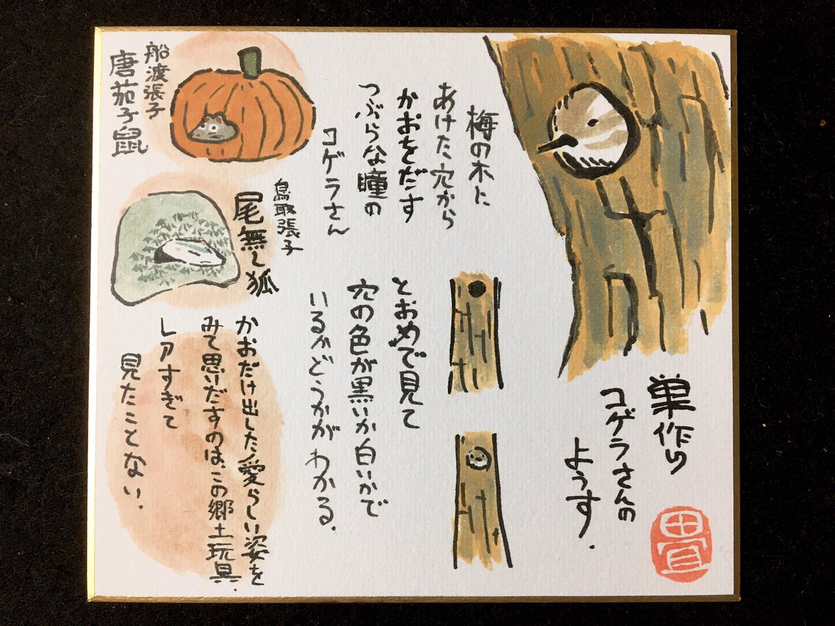 コゲラがまだ巣を作ったばかりの頃の様子。
穴から顔を出して外の様子を伺ってるのがかわゆうございました。
今はコゲラが穴に入ろうとするとピャッピャラ、ピャッピャラ騒がしい声がします。 