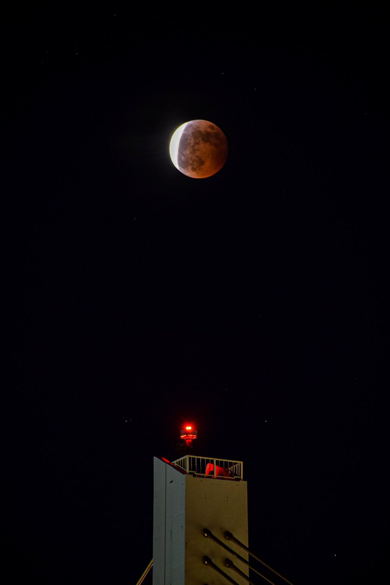 凸凹堂 photographs tweet media