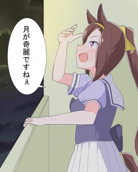 隠された言葉の意味を、彼女は知っているのか
#ウマ娘 