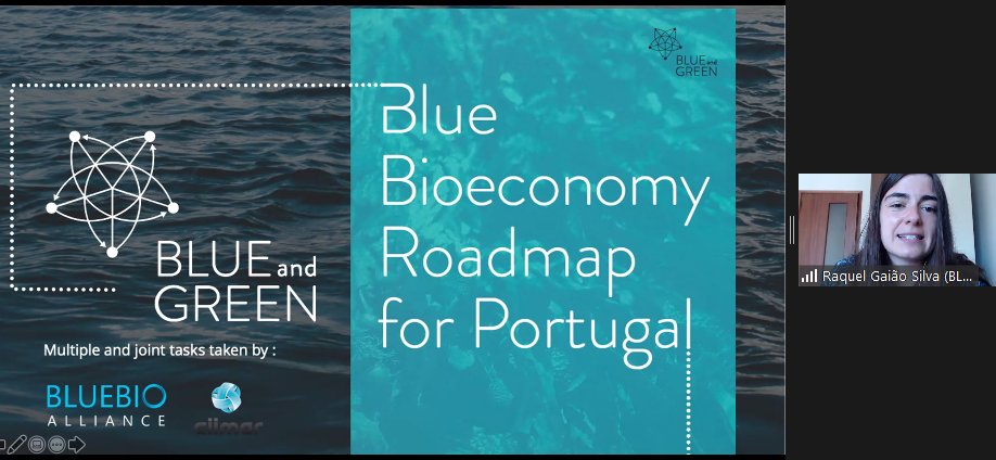 EU_FAMENET's tweet photo. Raquel Gaião Silva of BlueBio Alliance tells us about the organisation which is a network of the marine bioresources value chain in Portugal. Connecting, brainstorming, cooperating #FARNETNorthATL https://t.co/9ReHsJjhsg
