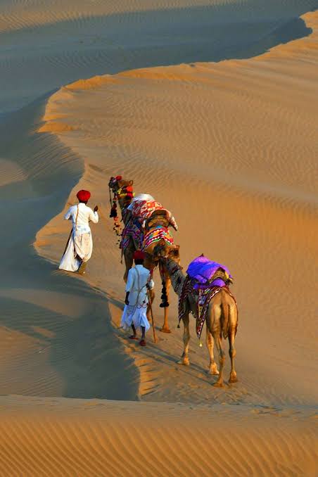 CoinRavi's tweet photo. Amidst Thar desert, magnificent monuments and beautiful hills lie a charming terra firma called Rajasthan.“

@sandeepnailwal @NischalShetty @IOHK_Charles @cz_binance @simplykashif @pushpendrakum @michael_saylor @VitalikButerin @Ruch_9 @SBF_Alameda @shwetachauhan https://t.co/0yg815Oilk