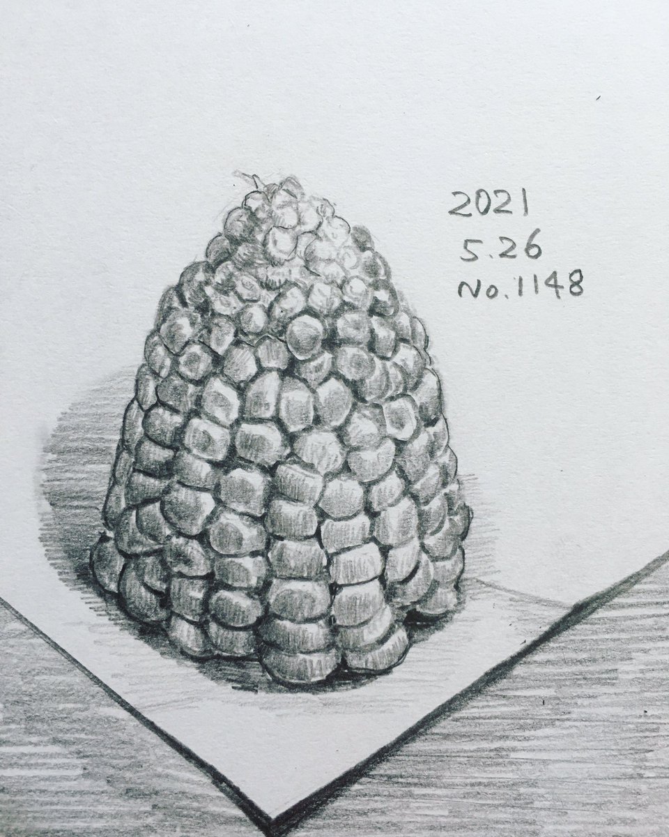 team_you_lucky's tweet photo. 毎日デッサン計画。
#デッサン #スケッチ #鉛筆画 #美術 #毎日デッサン計画 #dailydrawingplan #dessin #drawing #sketch #art #artwork #pencildrawing #とうもろこし #茹でとうもろこし #boiledcorn #sweetcorn https://t.co/GFalXZ3o5y