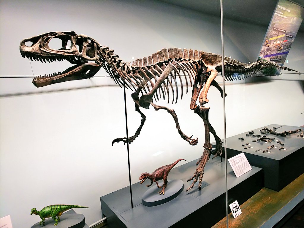 Twoucan 福井県立恐竜博物館 の注目ツイート イラスト マンガ コスプレ モデル