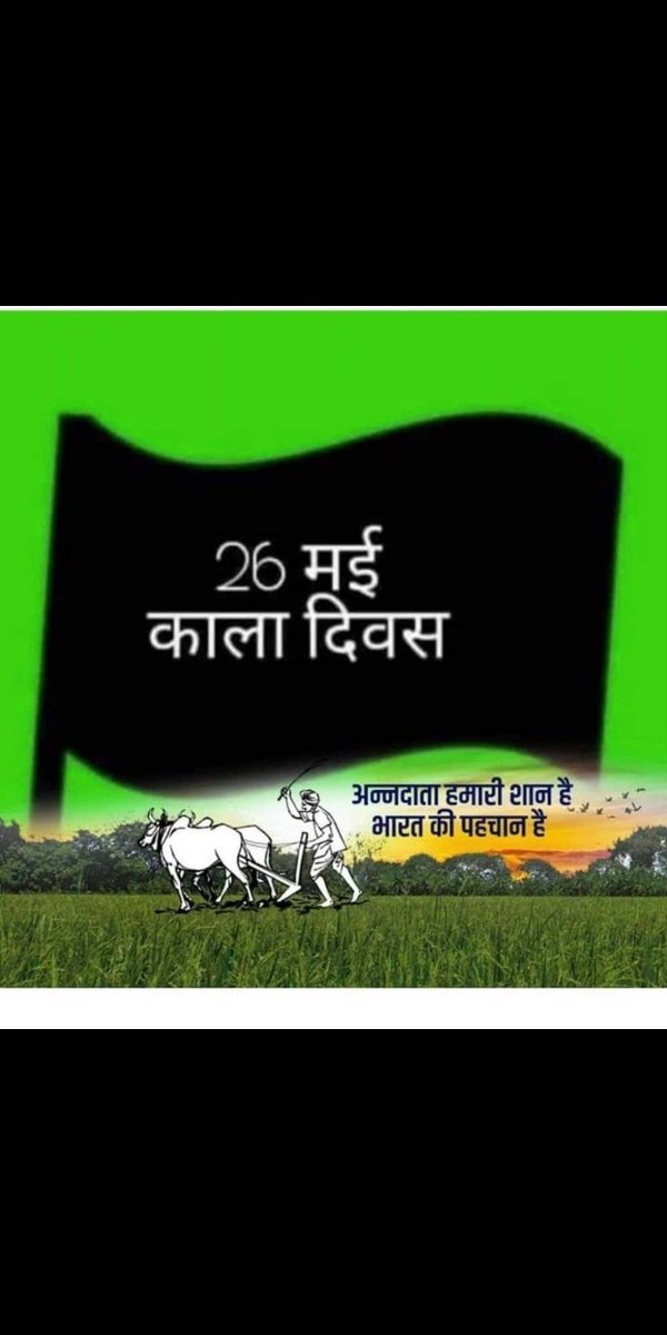 Priya Pareek ( joshi ji) (@priyapareek216) on Twitter photo 
