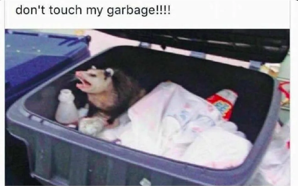 The_Iron_Monger's tweet photo. When someone takes your script and starts making changes to it.

#DontTouchMyGarbage 

#IBM 
#OpenShift #Docker 
#NerdHerd #IBMChampion #fintech #AIX #VIOS #PowerVM #IBMi #IBMCloud #Linux #Unix #RHEL #AI #ML https://t.co/1BDjuhsZr4