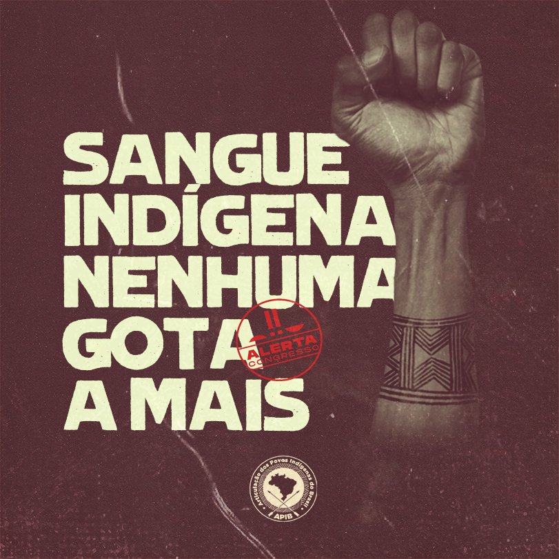 Sonia Guajajara tweet media