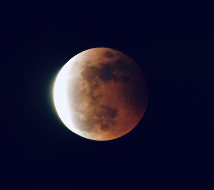 Nikonmmのtwitterイラスト検索結果