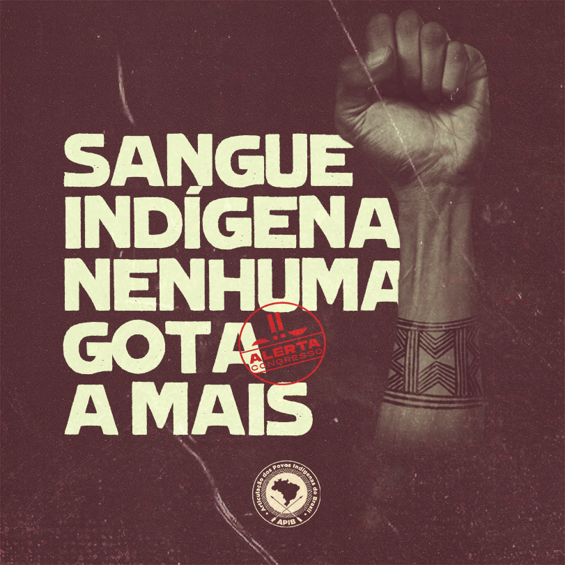 Sonia Guajajara tweet media