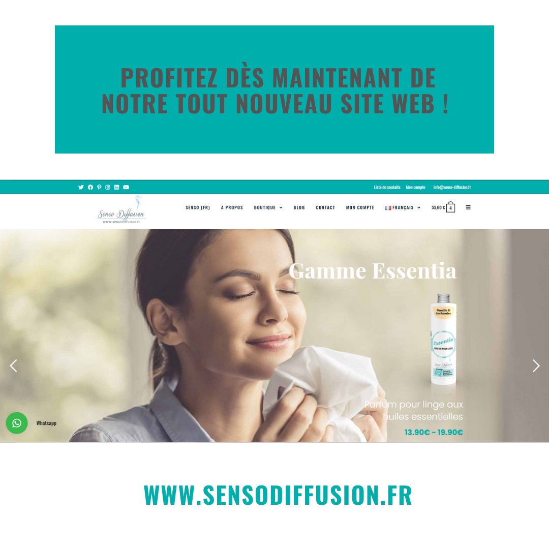 Senso Diffusion (@Senso_Diffusion) / Posts / X