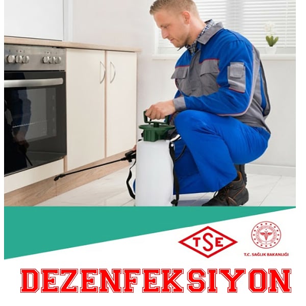 #dezenfeksiyon #bocekilaclama #uyuzilaclama #detayilaclama #bağcılar #esenler #bayrampaşa #evilaclama #fareilaclama #avcılar #esenyurt #beylikdüzü #başakşehir #gop 
daha fazlası için > visitmy.bio/detay 
fiyat teklifi için > bit.ly/formdty