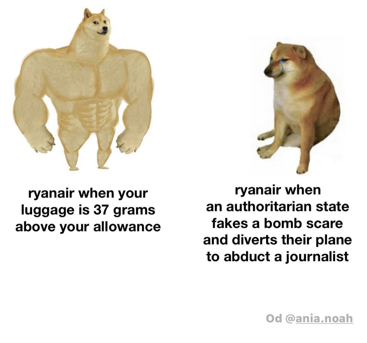 Maciej Jan Broniarz tweet media